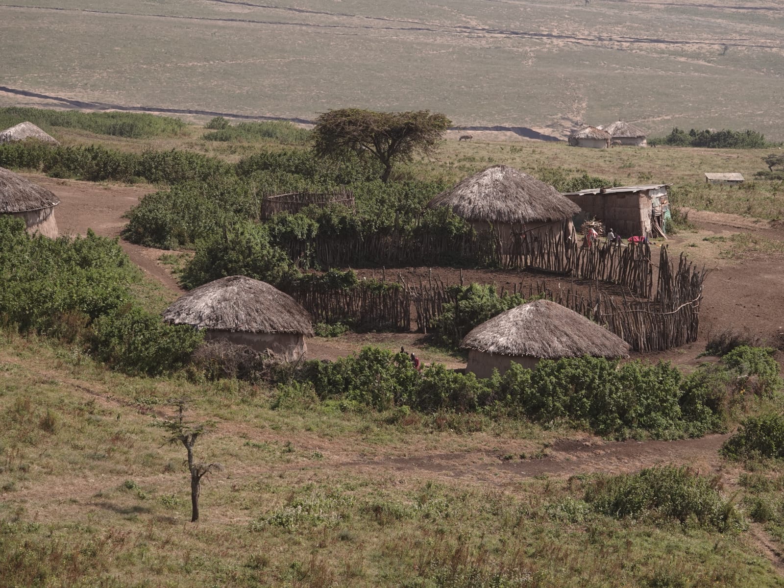 Tanzania 6 Days - 5 Nights Mid-Range Safari